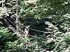 IMG_1627.JPG